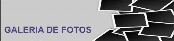GALERIA DE IMAGENS