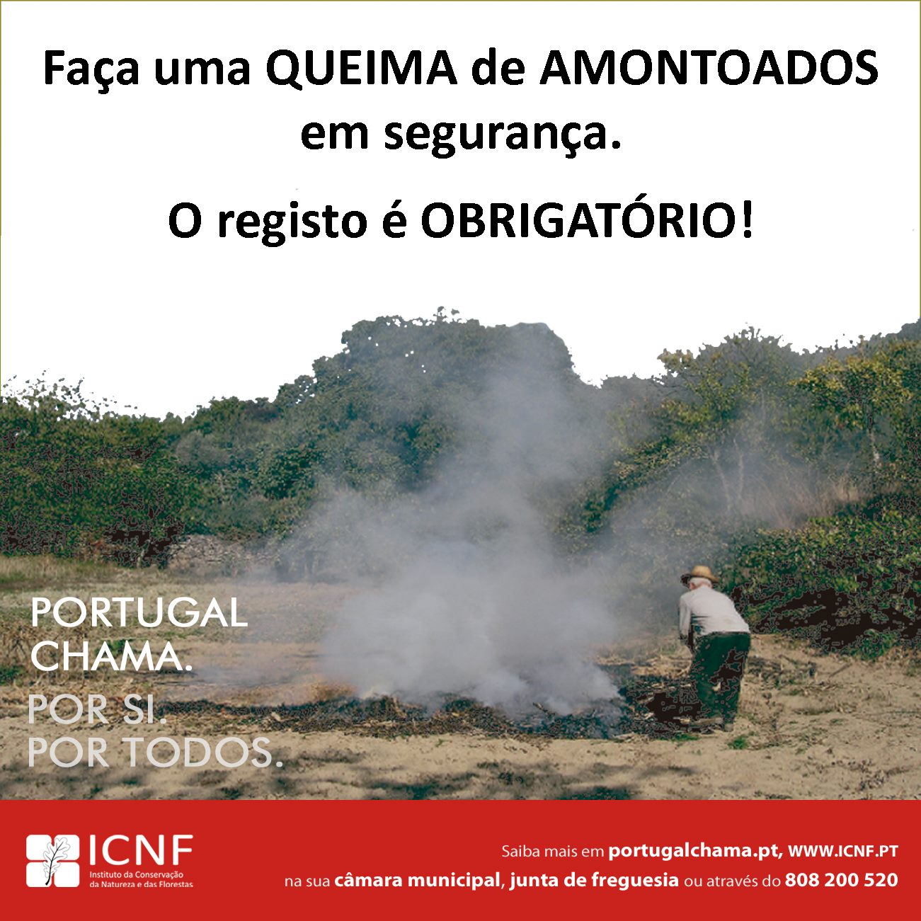 {artigo_imagem_titulo}